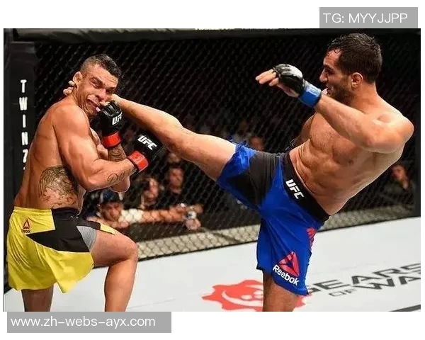 丹叔与比斯平的巅峰对决谁将成为终极格斗之王的传奇传承者